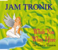 Wish You Were Here (The Dance Version)