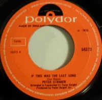 If This Was The Last Song