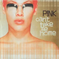 Can't Take Me Home