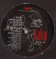 I Want Your Love