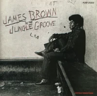 In The Jungle Groove
