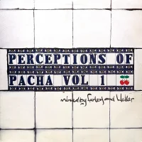 Perceptions Of Pacha Vol 1
