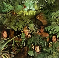 Oasis