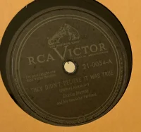 They Didn't Believe It Was True / Rosa Lee McFall