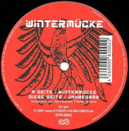 Wintermücke