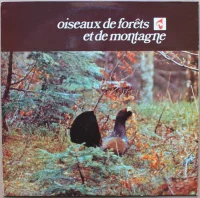 Oiseaux De Forêts Et De Montagne