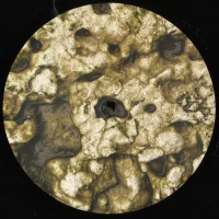 Microseism
