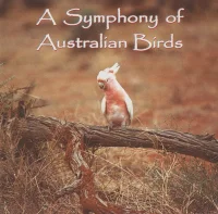 A Symphony Of Australian Birds