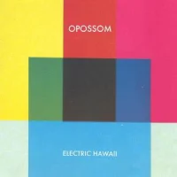 Electric Hawaii