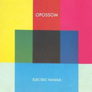 Electric Hawaii