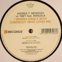 I Wanna Dance With Somebody (Who Loves Me)