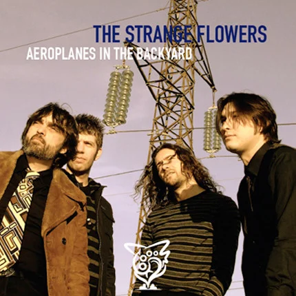 Aeroplanes In The Backyard