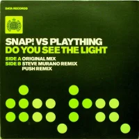 Do You See The Light