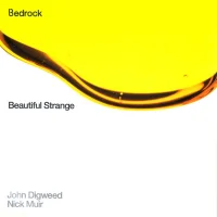 Beautiful Strange