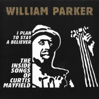 I Plan To Stay A Believer: The Inside Songs Of Curtis Mayfield