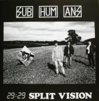 29:29 Split Vision