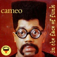 In The Face Of Funk