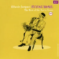Flying Home: The Best Of The Verve Years