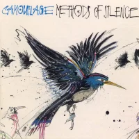 Methods Of Silence