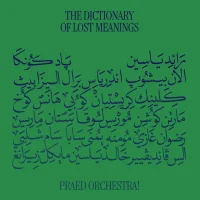 The Dictionary Of Lost Meanings