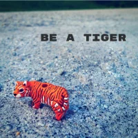 Be A Tiger
