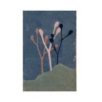 Audioloom 1 / Streams
