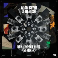 Restore My Soul (Remixes)