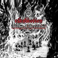 Chasms Of The Citadel