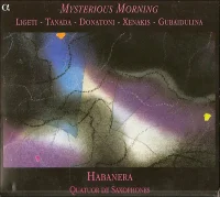 Mysterious Morning