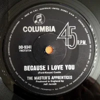 Because I Love You