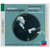 Symphonie Nr. 2 / Symphonie In D-moll