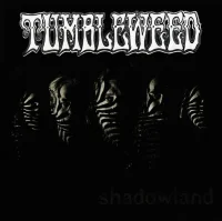 Shadowland / Rebellion