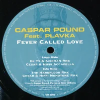 Fever Called Love