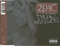 Thugz Mansion