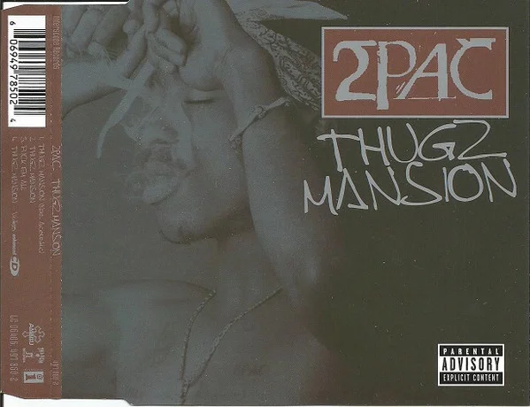 Thugz Mansion