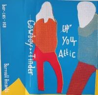 Up Your Attic