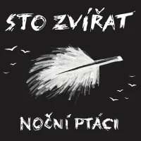 Noční Ptáci