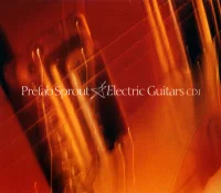 Electric Guitars