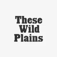 Waves / Plains