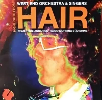 Highlights From Hair