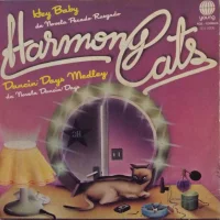 Hey Baby / Dancin'Days Medley