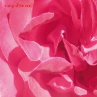 Sang D'encre