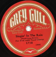Singin' In The Rain / Sleeping Birds