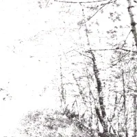 The White EP