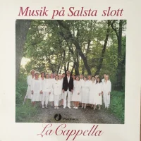 Musik På Salsta Slott