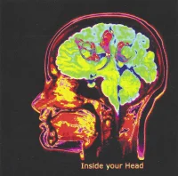 Inside Your Head