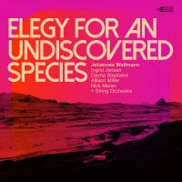 Elegy For An Undiscovered Species