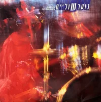 נוער שוליים = Juvenile Delinquency