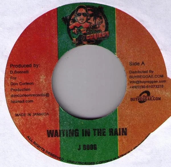 Waiting In The Rain / Rasta Love
