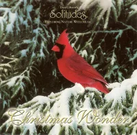 Christmas Wonder